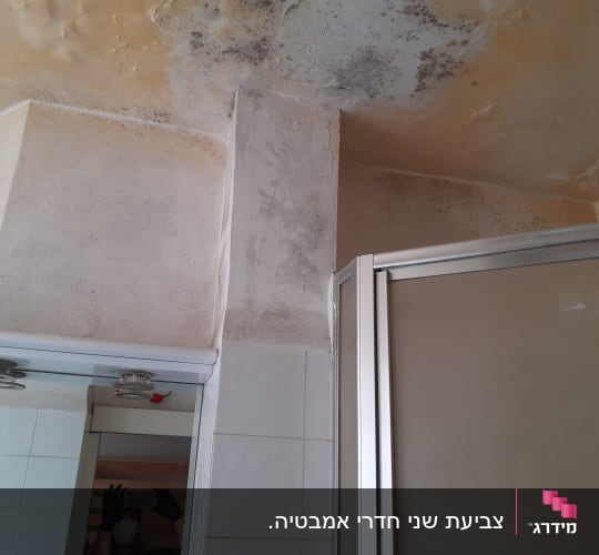 תקרה עם כתמי עובש ורטיבות לפני צביעה